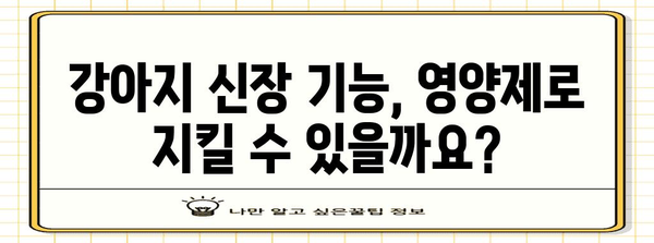 개 방광염 환자를 위한 신장 건강 영양제 | 강아지의 신장 기능을 지키는 비결