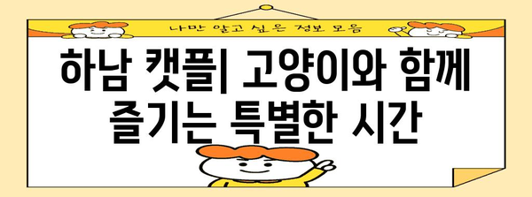 하남 캣플, 고양이 애호가의 천국 | 행복한 시간과 귀여운 순간