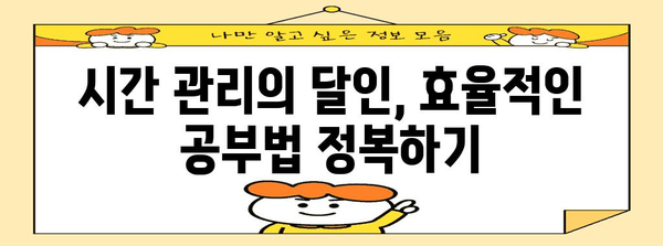 수능 재수, 성공으로 이끄는 나만의 학습 전략 | 재수생, 수능, 학습 계획, 시간 관리, 효율적인 공부법