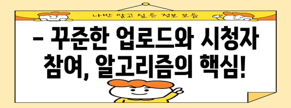 유튜브 상위 노출 확보 | 알고리즘 정복 가이드