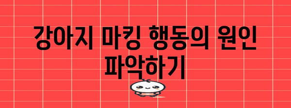 강아지 배변 훈련 | 마킹 제거를 위한 효과적인 방법