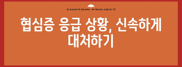 협심증 증상 관리 팁 | 가슴 통증 대처 가이드