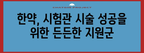 시험관 시술 성공률 향상 | 한약의 힘