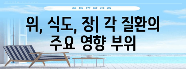 위염, 역류성 식도염, 과민성 대장 증후군 차이점 이해