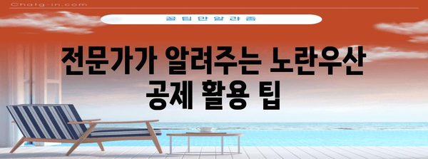 노란우산 공제 가입 혜택 | 폐업 절차 및 전문가 팁