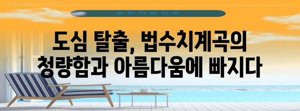 숨은 보석 발견 | 법수치계곡 낚시와 독특한 산골 민박