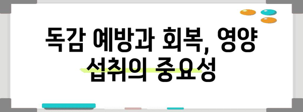 독감 대처 10가지 음식 | 증상 완화 영양 요리법