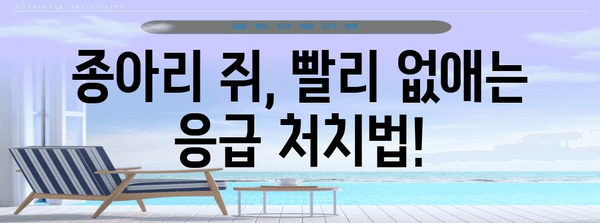 종아리 쥐남 통증 완화 최고의 방법 | 통증 해결, 경련 예방