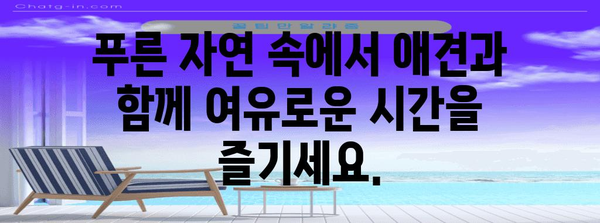 애견과 함께하는 하남 카페 | 골든타임을 위한 이상적인 장소