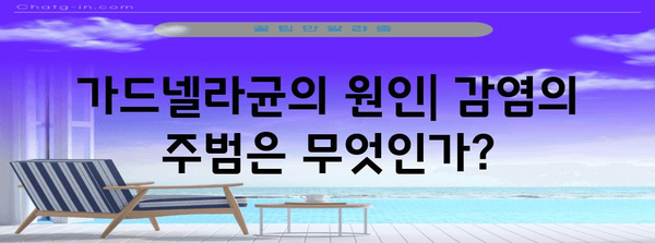 가드넬라균의 비밀 해결책 | 원인, 증상, 완치 가능성