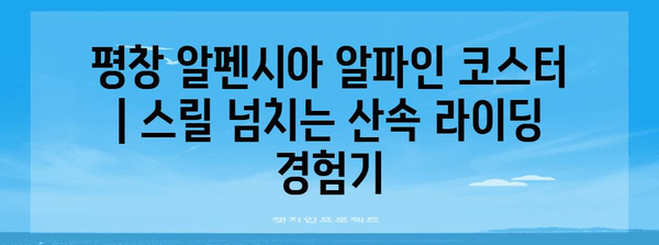 평창 알펜시아 알파인 코스터 | 스릴 넘치는 산속 라이딩 경험기