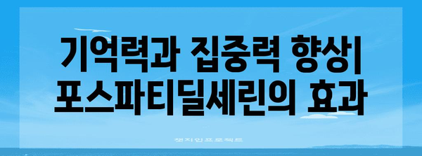 포스파티딜세린의 뇌 건강 효과 | 과학적 근거와 실제적 이점