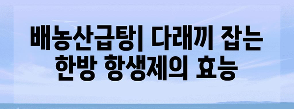 배농산급탕 | 소염 효과를 위한 한방 항생제와 다래끼약 가이드