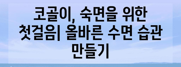 코골이 치료 및 예방 | 원인과 해결력 향상