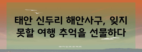 태안 신두리 해안사구| 천연기념물 431호, 아름다운 자연을 만나다 | 신두리 해안사구, 사막, 갯벌, 생태 관광, 여행