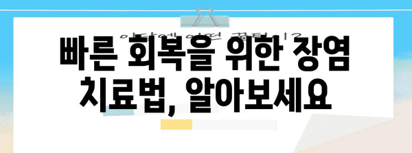 장염 극복 | 신속한 회복을 위한 완전 가이드