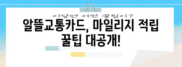 알뜰교통카드 마일리지 비교 | 적립 최적화 카드 찾기