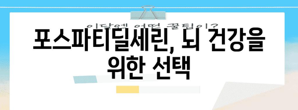 포스파티딜세린의 뇌 건강 효과 | 과학적 근거와 실제적 이점