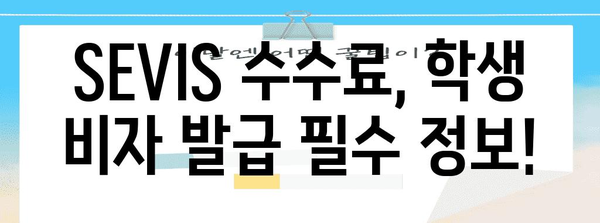 미국 학생 비자 Sevis 수수료 간편하게 해결하기