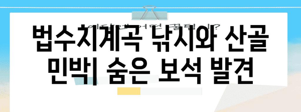 숨은 보석 발견 | 법수치계곡 낚시와 독특한 산골 민박