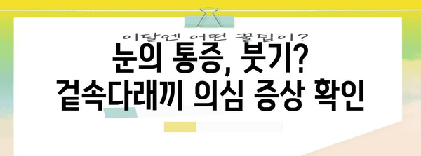 겉속다래끼 바이러스 | 증상별 빠른 치료 가이드