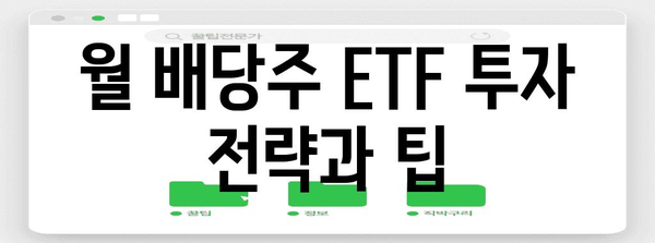 미국 월 배당주 ETF | 성공적인 포트폴리오 구축을 위한 가이드