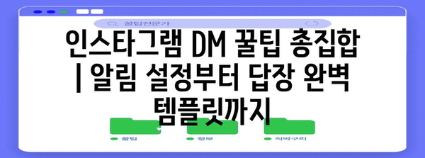 인스타그램 DM 꿀팁 총집합 | 알림 설정부터 답장 완벽 템플릿까지