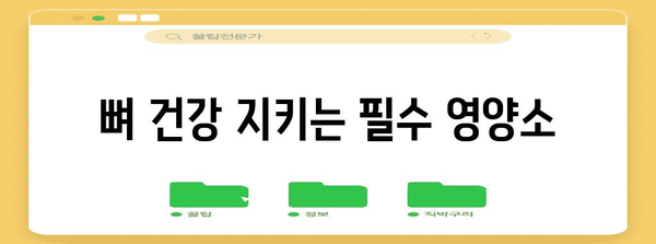 중년 여성을 위한 필수 영양소 | 건강 유지 핵심