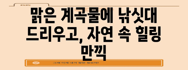 숨은 보석 발견 | 법수치계곡 낚시와 독특한 산골 민박